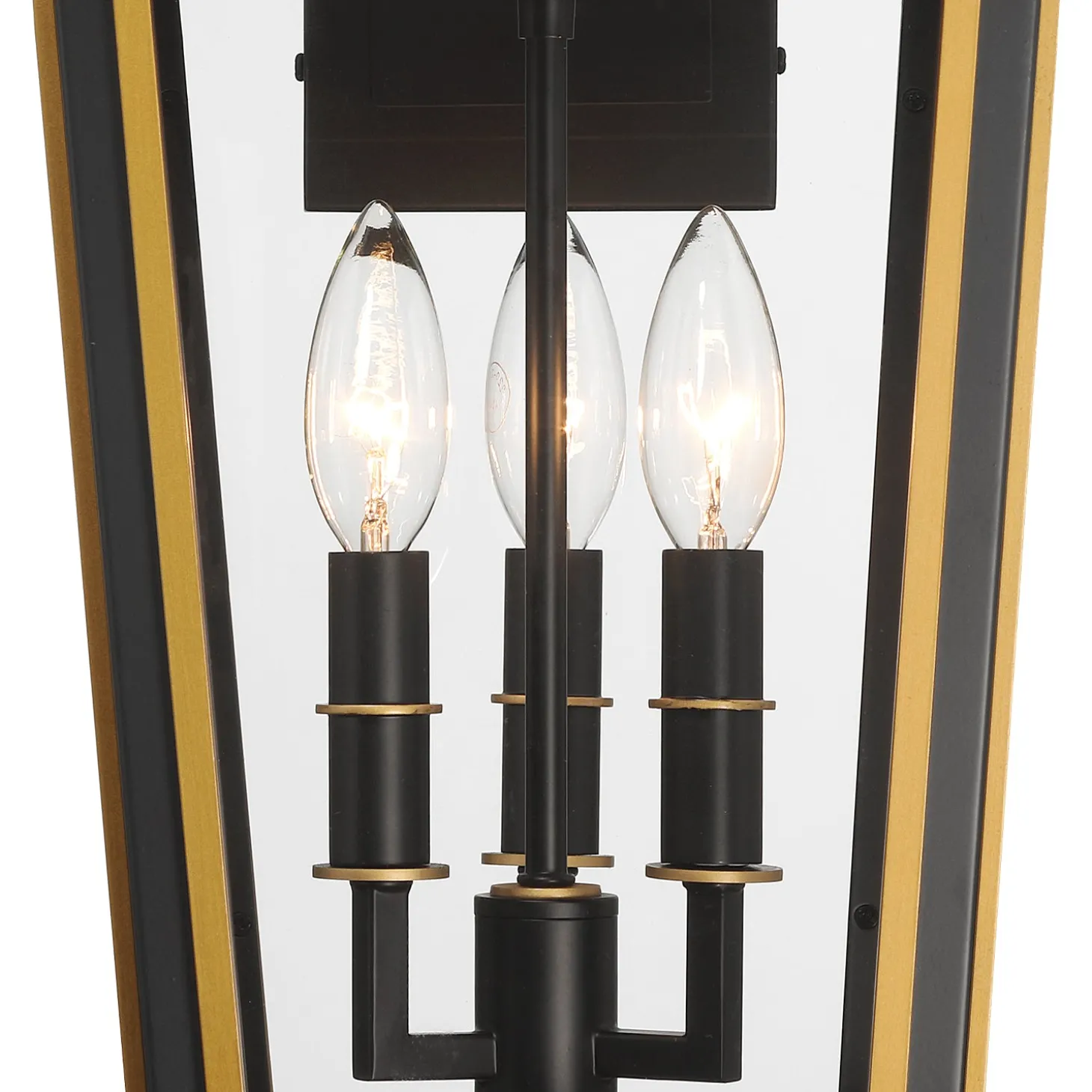 Ellington Outdoor Wall Light, Medium 19" Black and Textured Gold