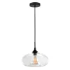 Greenwood Pendant with Clear Glass