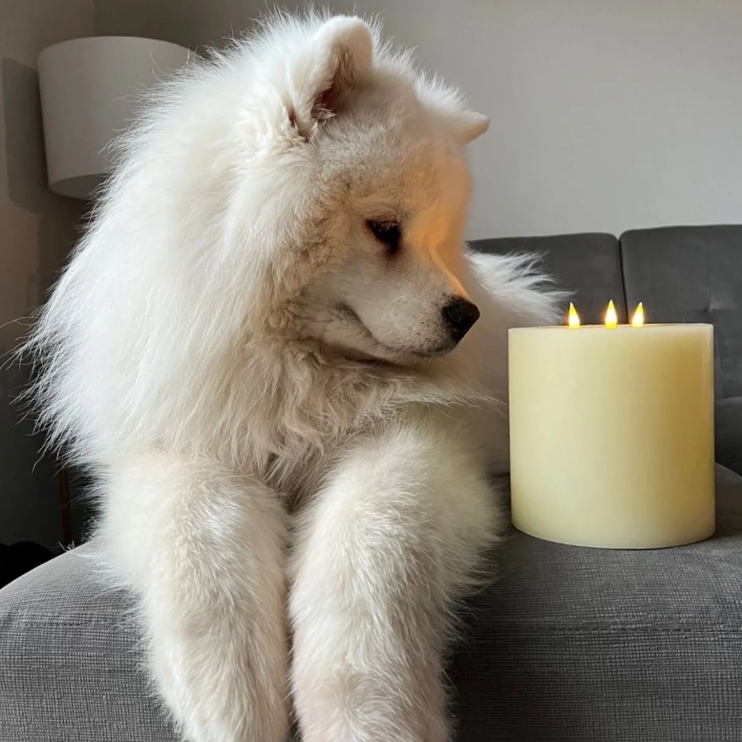 Infinity Wick Ivory 3-LED 6"x6" Pillar Candle