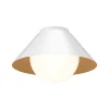 Juno Flush Mount 14