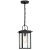Paterson Outdoor Hanging Light