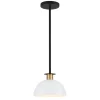 Remy Small Pendant 10