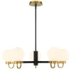 Ryan 5 Light Chandelier, Matte Black and Aged Brass